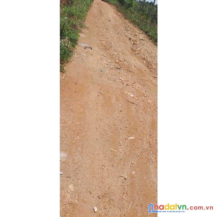 Sở hữu ngay lô đất đẹp xã ea đar huyện ea kar đăk lăk