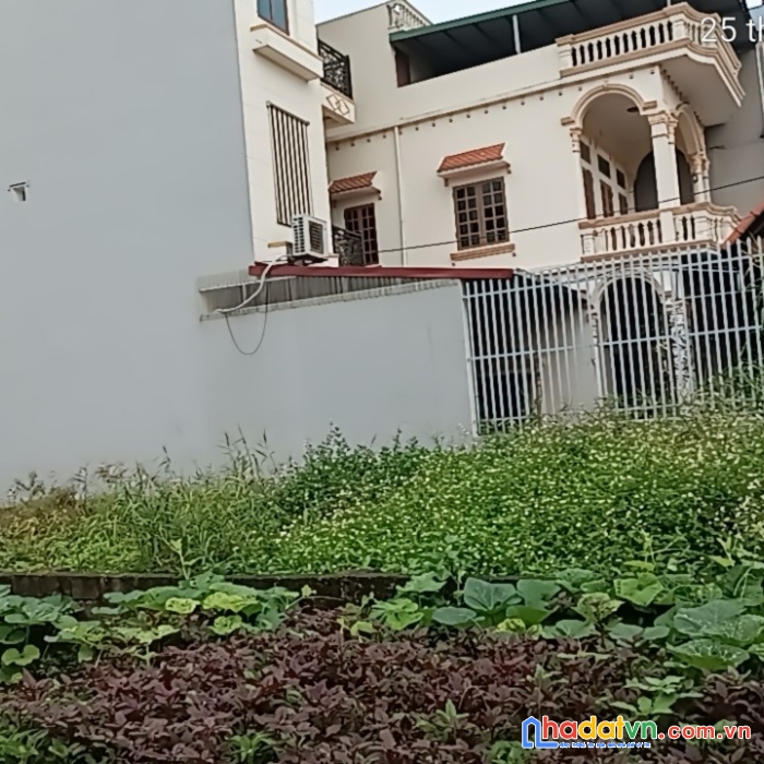 Chính chủ cần bán đất ở thôn vân la, xã hồng vân, huyện thường tín, hà nội.