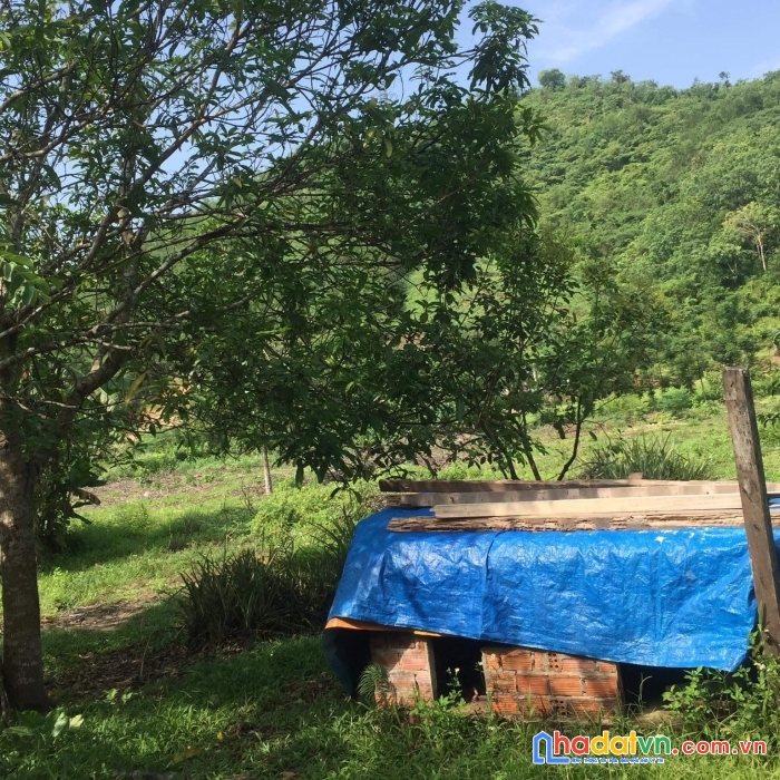 Sở hữu ngay căn nhà đẹp vị trí đắc địa tại quảng nam - giá cực rẻ