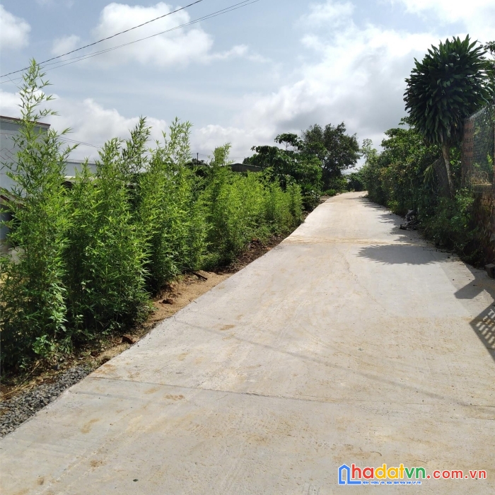 Chính chủ cần bán gấp lô đất mặt tiền tại bảo lâm , lâm đồng - giá cực rẻ