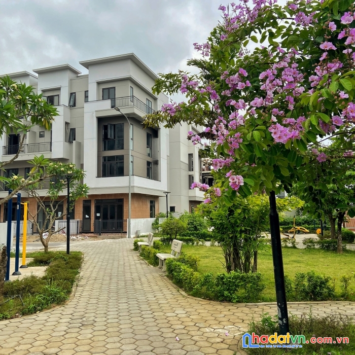 Tin được không shophouse 4 tầng chân đế 7 chung cư