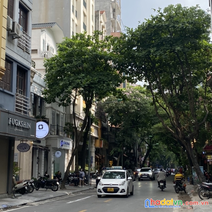 Hiếm trần quang diệu - trung tâm q đống đa 46m - 5,95 tỷ - nhà đẹp ở luôn.