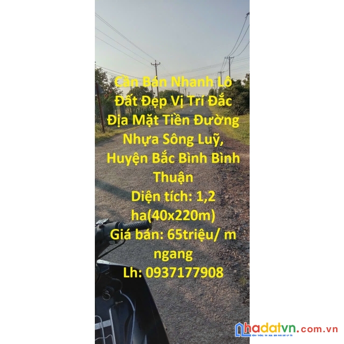 Cần bán nhanh lô đất đẹp vị trí đắc địa mặt tiền đường nhựa sông luỹ, huyện bắc bình bình thuận