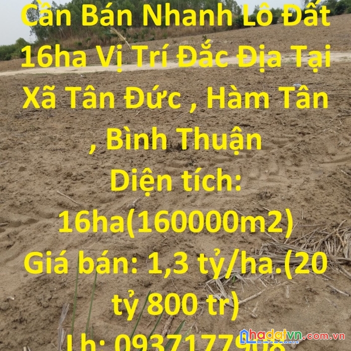 Cần bán nhanh lô đất  16ha vị trí đắc địa tại xã tân đức , hàm tân , bình thuận