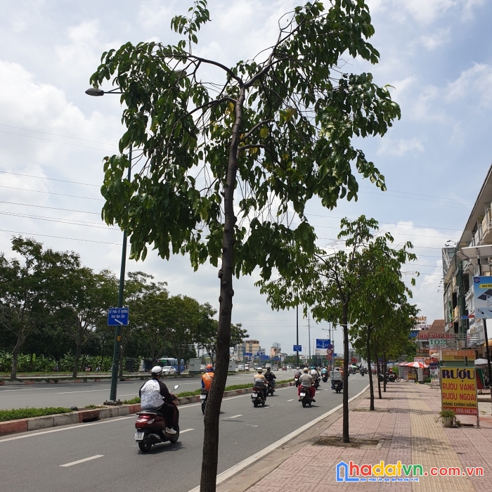 Siêu siêu phẩm phạm văn đồng. linh đông 3 mặt đôla. dòng tiền thu vào cực cao và luôn ổn định.
