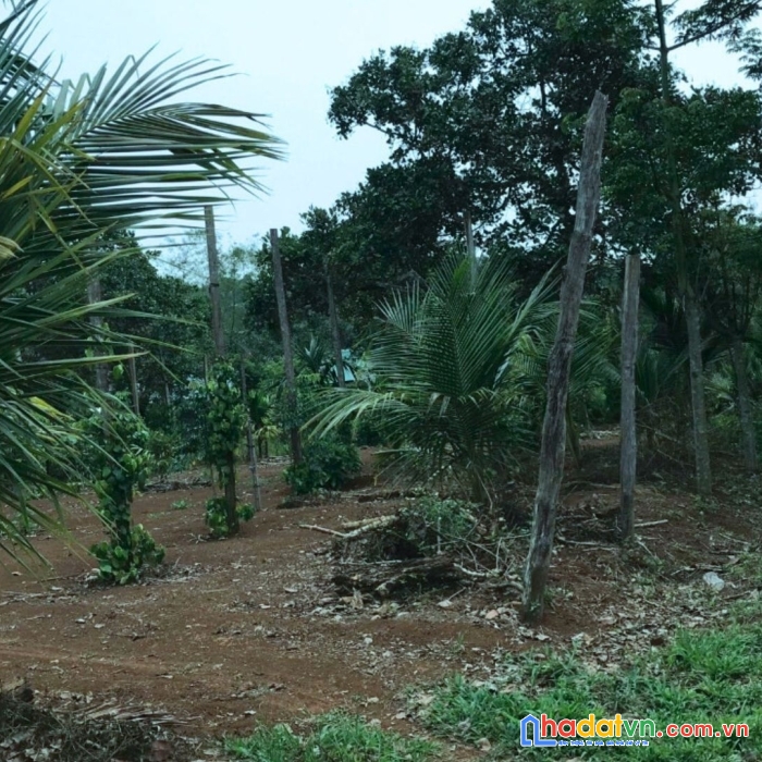 Đất nền giá rẻ gần bến xe tính