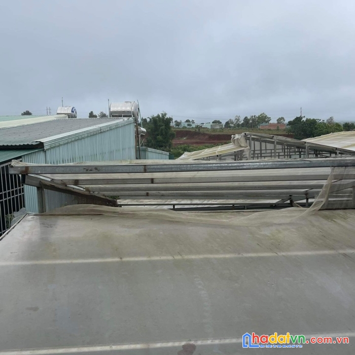 Chính chủ bán đất tặng nhà mặt tiền lý thái tổ, pleiku giá siêu rẻ