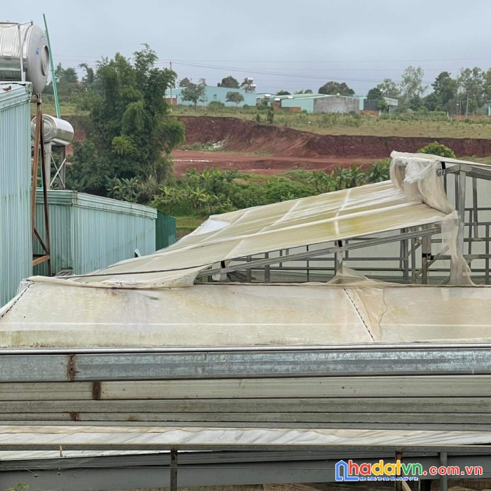 Chính chủ bán đất tặng nhà mặt tiền lý thái tổ, pleiku giá siêu rẻ