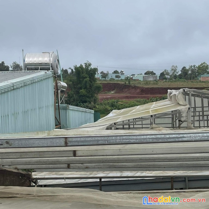 Chính chủ bán đất tặng nhà mặt tiền lý thái tổ, pleiku giá siêu rẻ