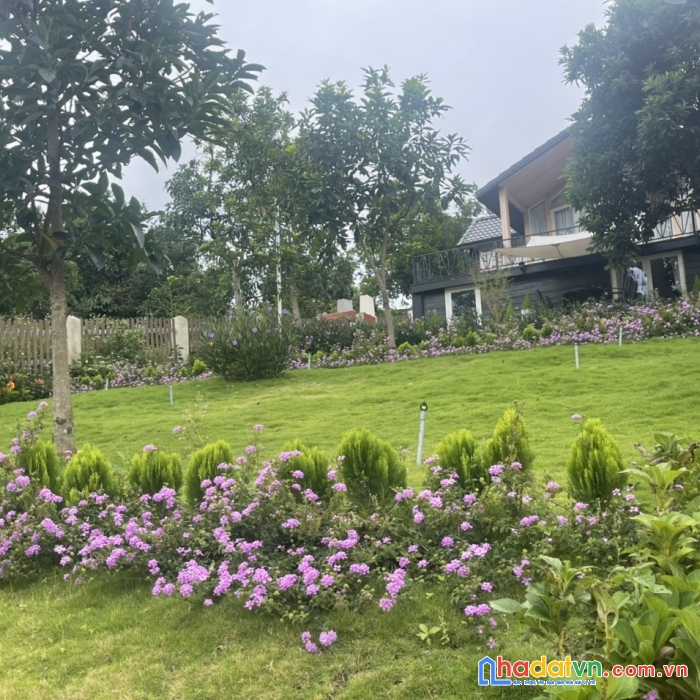 ( giảm sock ) chỉ còn 4.5 tỷ - sở hữu căn biệt thự sân vườn ven đà lạt 814m2