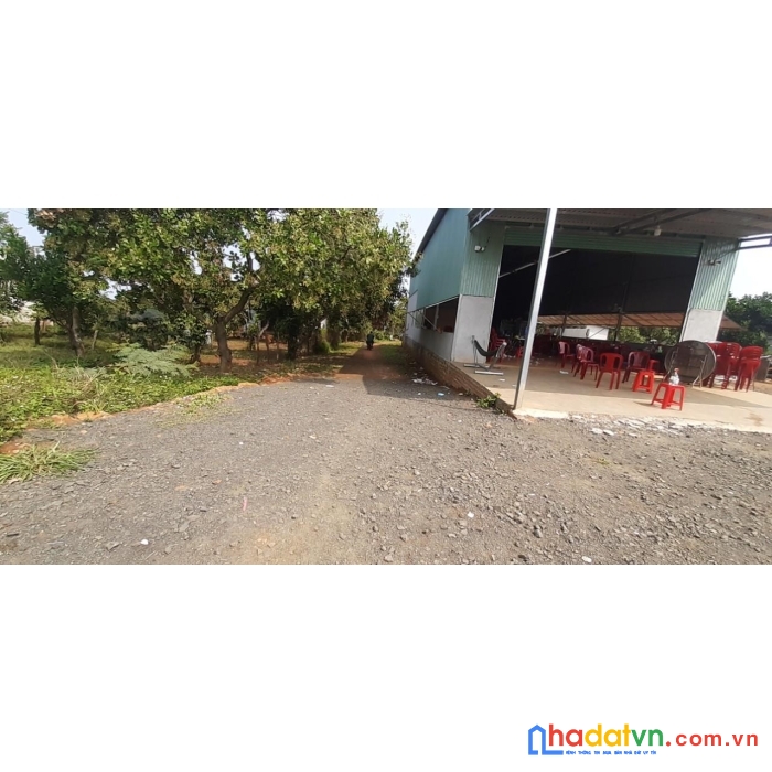 Chủ cần bán nhanh lô đất vị trí đẹp tại xã phú sơn, huyện bù đăng, tỉnh bình phước.