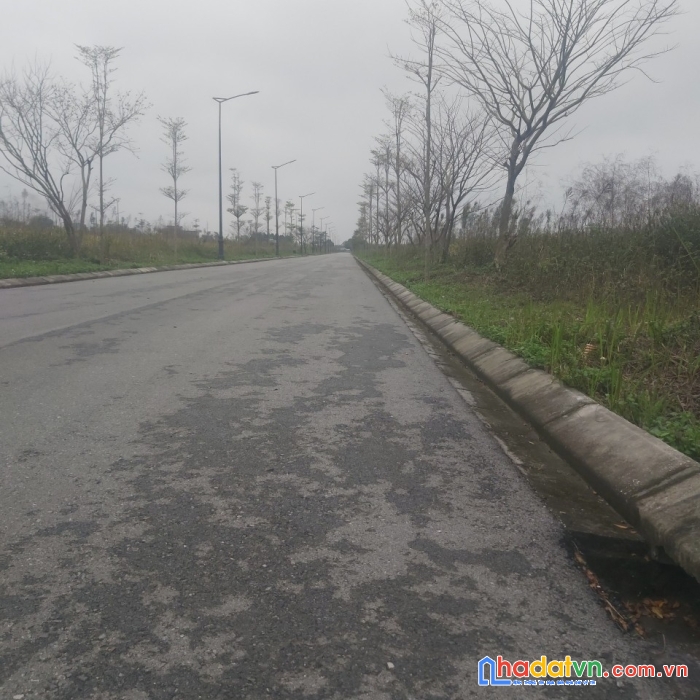 Chính chủ cần bán gấp lô đất lk9.15 đại an 2, phường tứ minh, thành phố hải dương.
