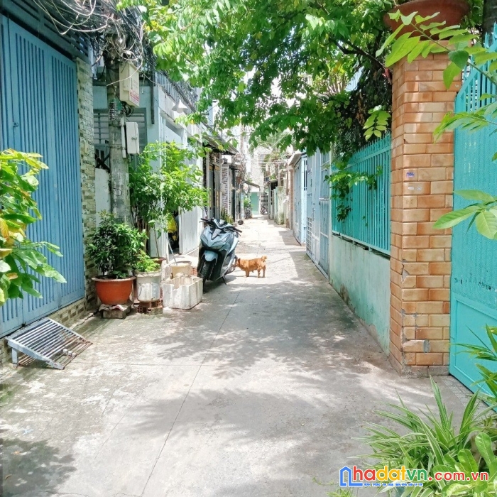 Nhà bán 1 tầng 43m2 - hẻm 90 bông sao p5q8 - giá : 3.6 tỷ