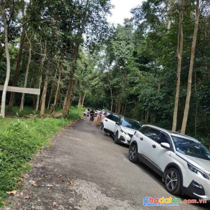 Cần bán nhanh lô đất đẹp vị trí đắc  tại khu du lịch thác bà xã đức thuận, tánh linh, bình thuận