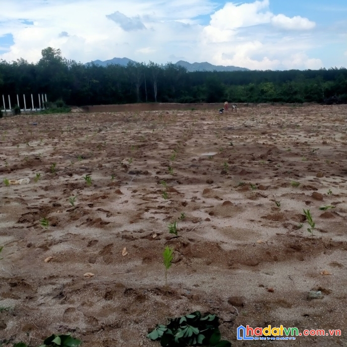 Cần bán nhanh lô đất đẹp vị trí đắc  tại khu du lịch thác bà xã đức thuận, tánh linh, bình thuận