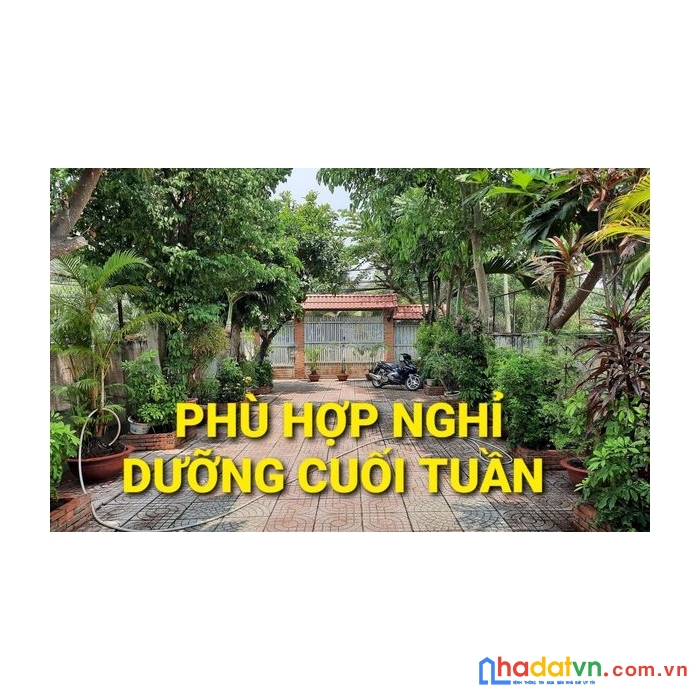 Bán nhà gỗ cổ 420m2 hà duy phiên bình mỹ củ chi tphcm có 6 tỷ x