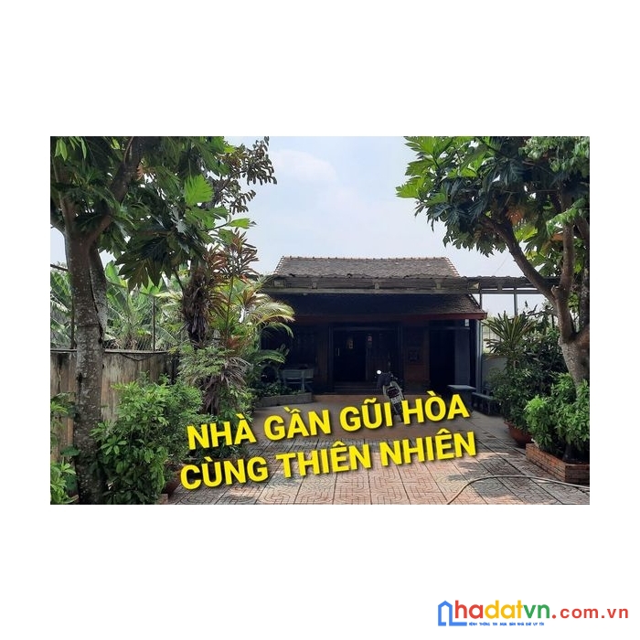 Bán nhà gỗ cổ 420m2 hà duy phiên bình mỹ củ chi tphcm có 6 tỷ x