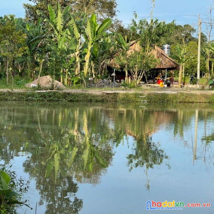 Sở hữu ngay lô đất đẹp vị trí đắc địa tại gia kiệm, thống nhất, đồng nai