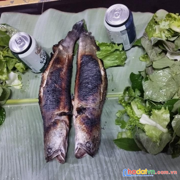 Sở hữu ngay lô đất đẹp vị trí đắc địa tại gia kiệm, thống nhất, đồng nai