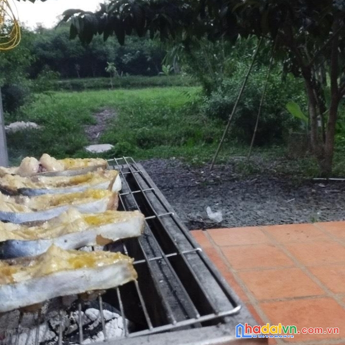 Sở hữu ngay lô đất đẹp vị trí đắc địa tại gia kiệm, thống nhất, đồng nai