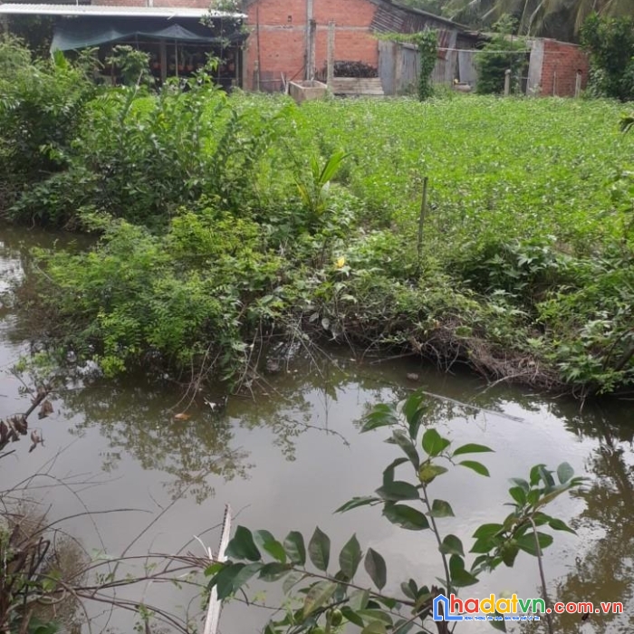 Cần bán nhanh lô đất  đẹp mặt tiền tại xã thanh bình, huyện chợ gạo, tiền giang