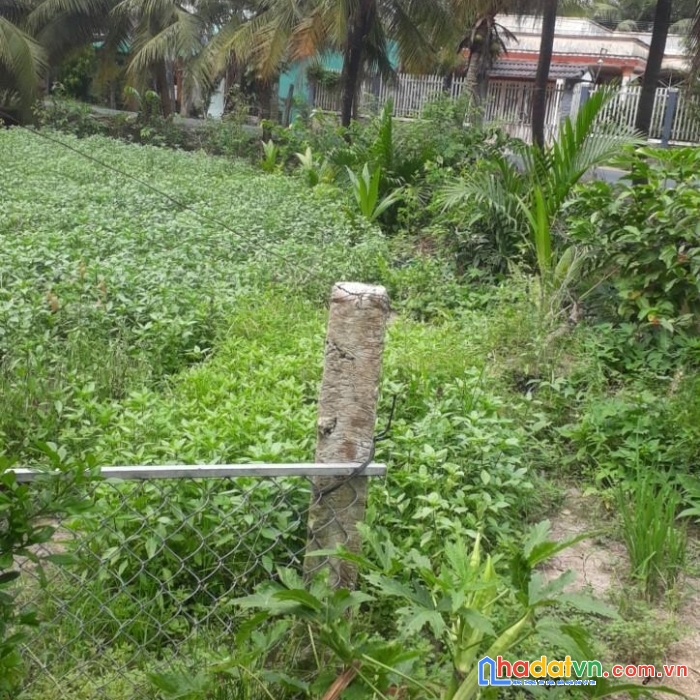 Cần bán nhanh lô đất  đẹp mặt tiền tại xã thanh bình, huyện chợ gạo, tiền giang