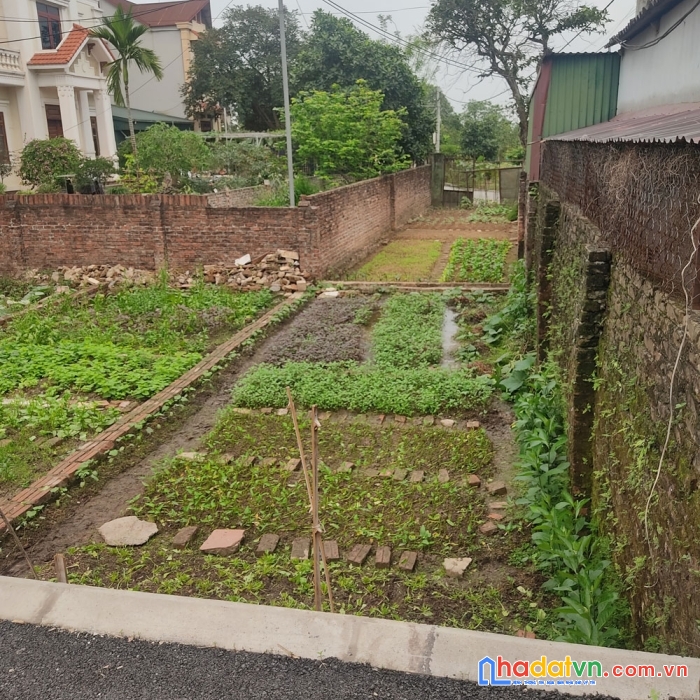 Bán đất ngọc động - ô tô vào đất - 2 thoáng - giá rẻ - đón tương lai.