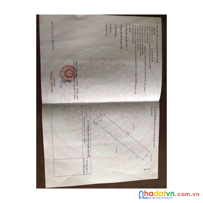 Chính chủ cần bán gấp 2 lô đất mặt đường bùi viện,  lê chân, hải phòng (cách bùng binh cầu rào 2