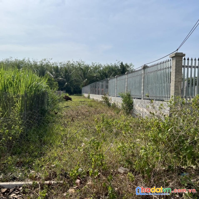 Sở hữu ngay lô đất đẹp tại ấp cầy xiêng, xã đồng khởi, huyện châu thành, tỉnh tây ninh.
