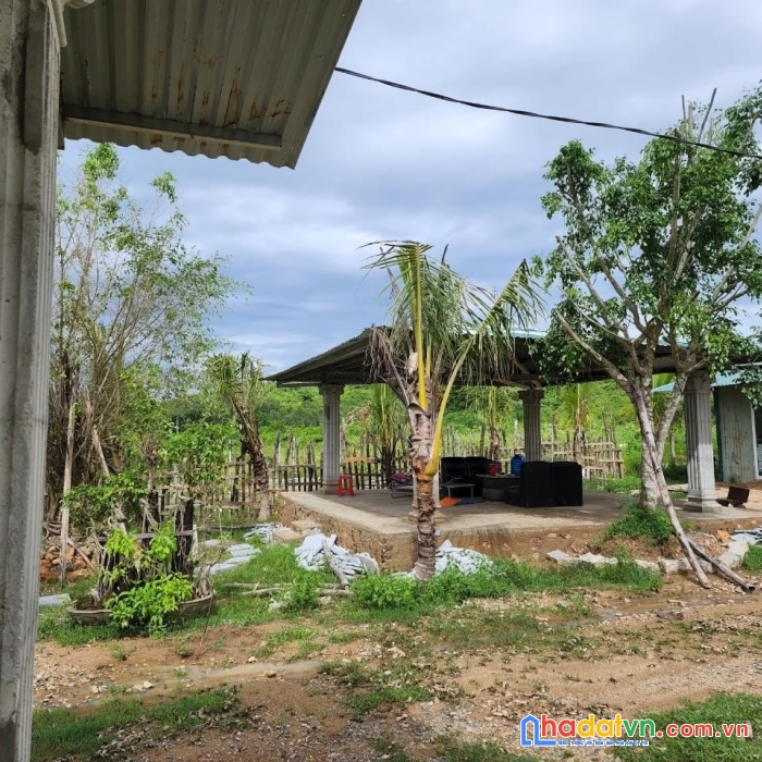 Sở hữu ngay 4 lô đất mặt tiền tại xã diên hòa, huyện diên khánh, tỉnh khánh hòa