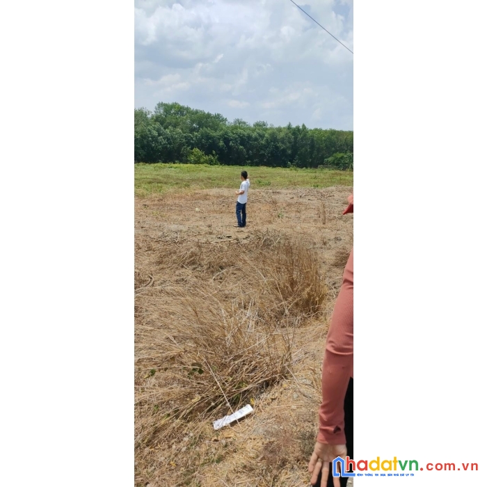 Đất chính chủ - giá cực rẻ tại xã hòa hội, huyện xuyên mộc, tỉnh bà rịa – vũng tàu