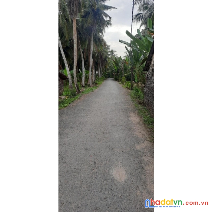 Đất chính chủ - giá cực rẻ tại huyện cầu kè, trà vinh