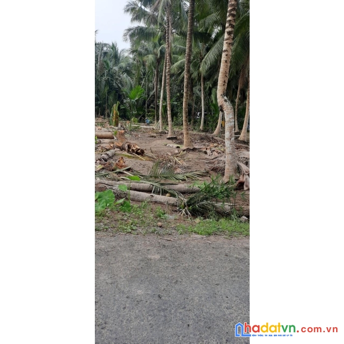Đất chính chủ - giá cực rẻ tại huyện cầu kè, trà vinh