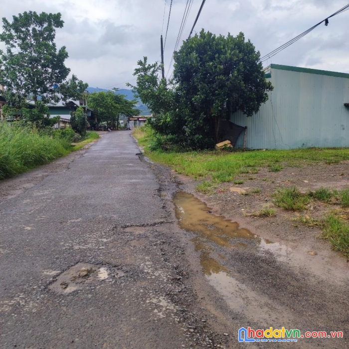 Sở hữu ngay lô đất vị trí đắc địa tại  xã đại lào, tp bảo lộc, lâm đồng