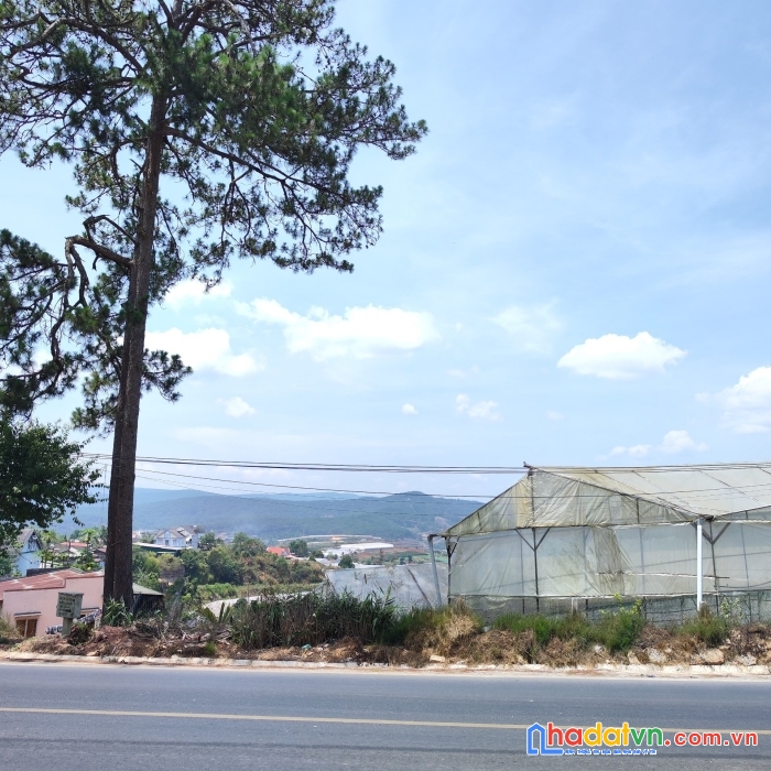 Bán gấp lô đất mặt tiền ql20 tại xuân thọ, đà lạt 600m2