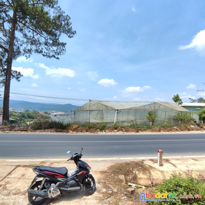 Bán gấp lô đất mặt tiền ql20 tại xuân thọ, đà lạt 600m2