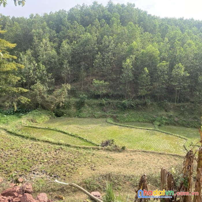 Sở hữu ngay siêu phẩm đẹp tại xã lạc lương, huyện yên thuỷ, hoà bình