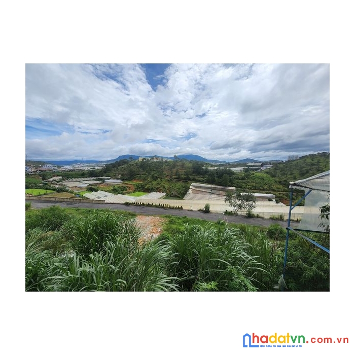(alo alo) bán gấp đất biệt thự view đẹp đường phước thành, đà lạt 312m2 giá chỉ còn 8.8 tỷ