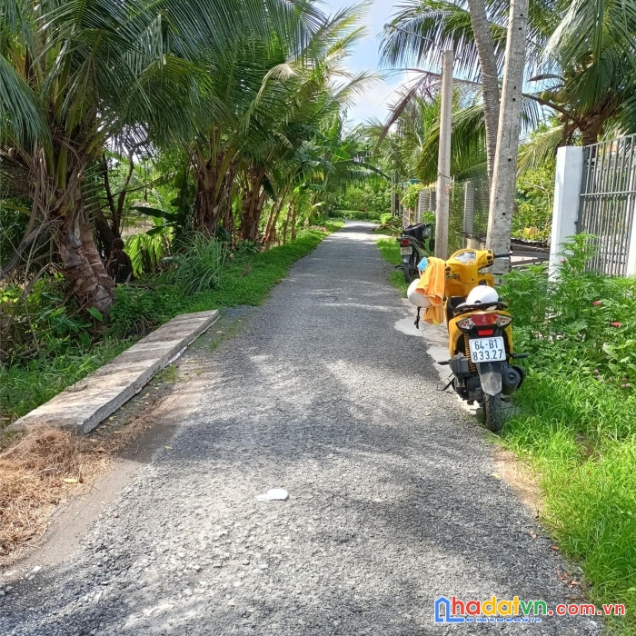 Chính chủ cần bán gấp lô đất giá đầu tư tại thông quang - long hồ - vĩnh long