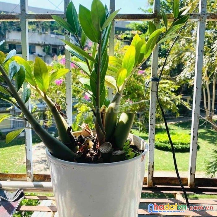 Chính chủ cần bán nhanh căn hộ đẹp view sông thoáng mát tại bình thạnh