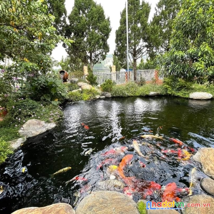 Bán gấp biệt thự sân vườn đẹp tại tà nung, đà lạt 1494m2