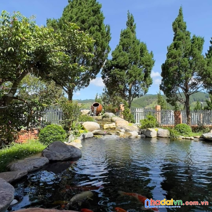 Bán gấp biệt thự sân vườn đẹp tại tà nung, đà lạt 1494m2