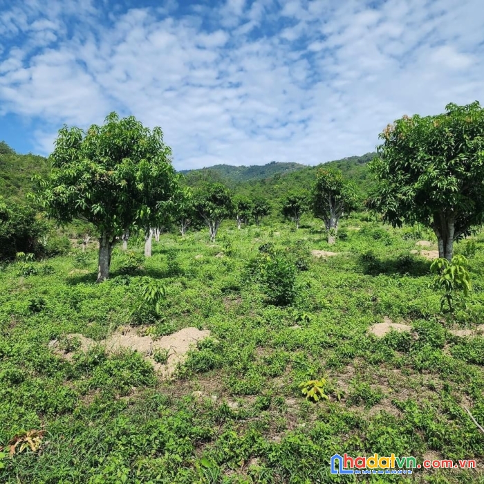 Sở hữu ngay lô đất đẹp tại xã suối tiên, huyện diên khánh, tỉnh khánh hoà