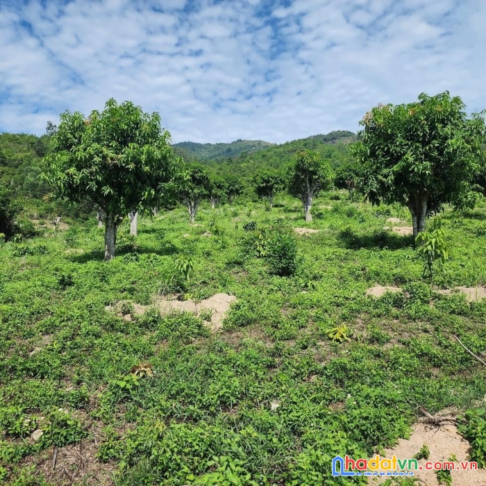 Sở hữu ngay lô đất đẹp tại xã suối tiên, huyện diên khánh, tỉnh khánh hoà