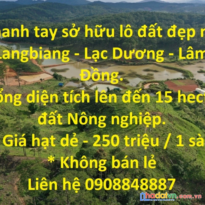 Nhanh tay sở hữu lô đất đẹp nhì langbiang - lạc dương - lâm đồng.