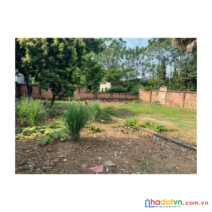 Nhỉnh 800tr cần bán lô đất tại xuân hoà, phúc yên, vĩnh phúc