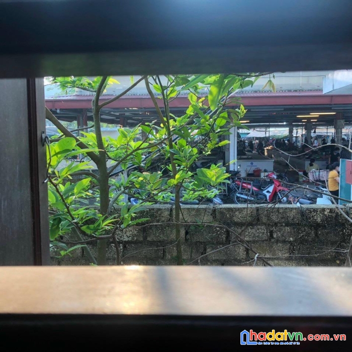 Nhà đẹp chính chủ - cần bán gấp căn nhà tại quảng ngọc - quảng xương - thanh hóa