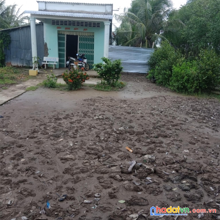 Chính chủ bán lô đất tại nguyễn phích, huyện u minh, cà mau - giá cực rẻ
