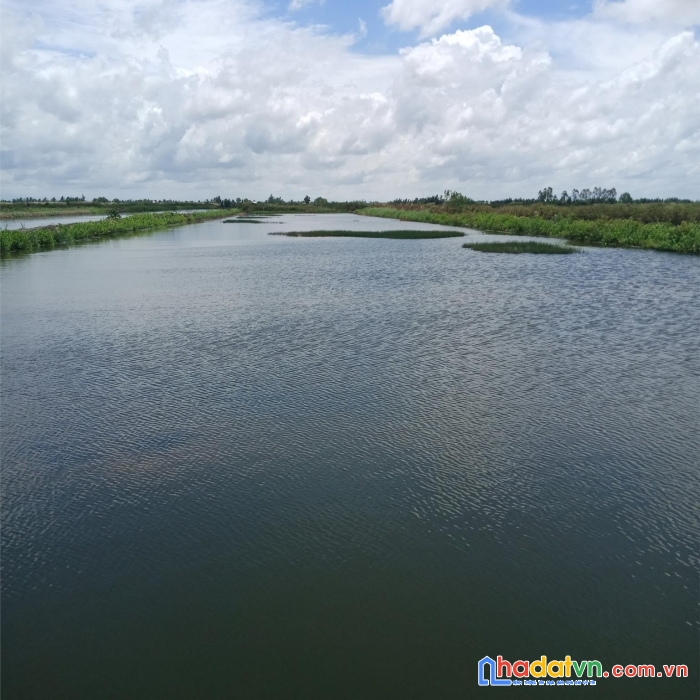 Chính chủ bán lô đất tại nguyễn phích, huyện u minh, cà mau - giá cực rẻ