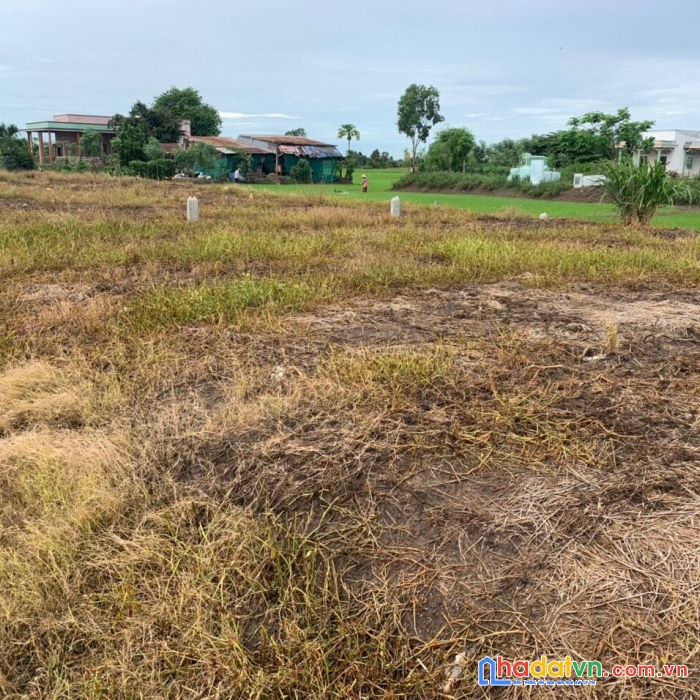 Chính chủ bán lô đất tại ấp ông cai, xã tân trung, tx gò công, tiền giang - giá cực rẻ